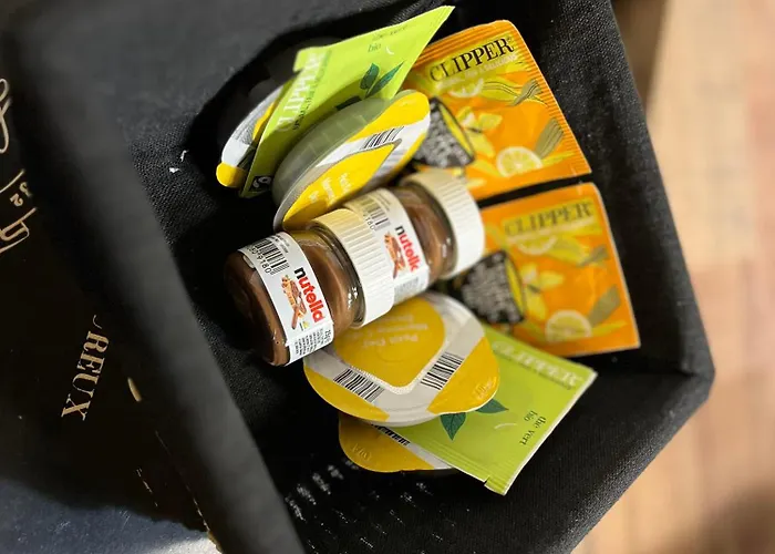 Apartamento L'industriel , T2 Hyper Centre Cosy Montauban